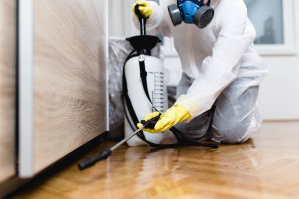 Best Wasp Removal Services  in Four Corners, MT