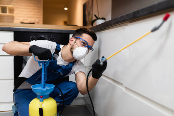 Best Pest Inspection Near Me  in Four Corners, MT