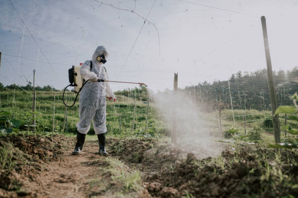 Best Pest Removal Services  in Four Corners, MT