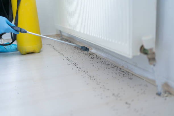 Best Affordable Pest Control Services  in Four Corners, MT