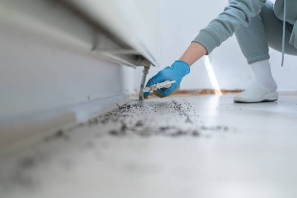 Best Best Pest Control Companies  in Four Corners, MT