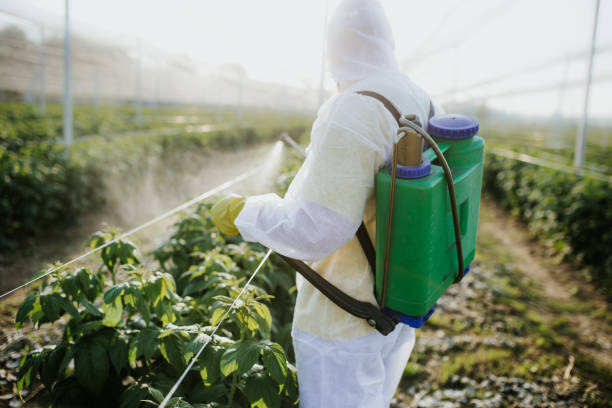 Best Local Pest Control Services  in Four Corners, MT